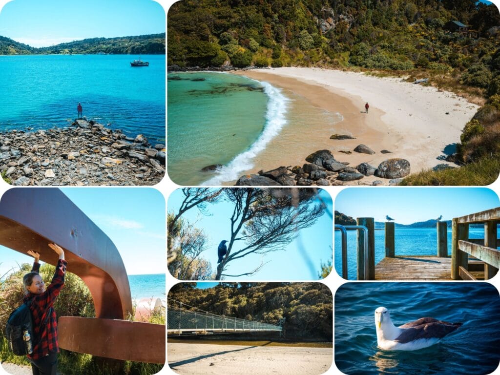 South Island Day Hikes - Rakiura Track Day Hike