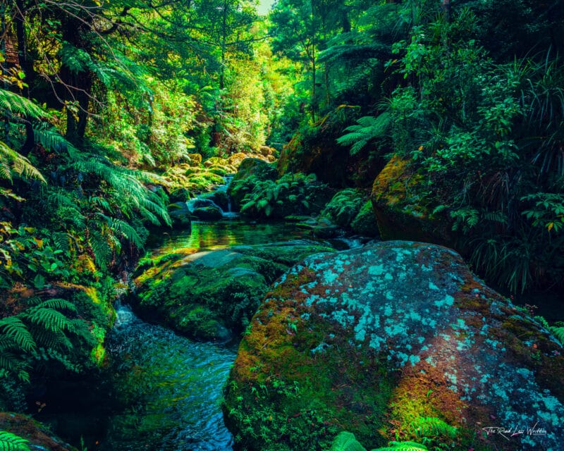 Abel Tasman Cleopatra's Pool Print - Hidden Gem South Island Photography Spots