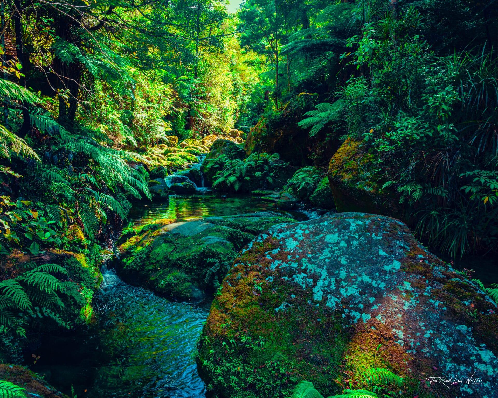 Abel Tasman Cleopatra's Pool Print