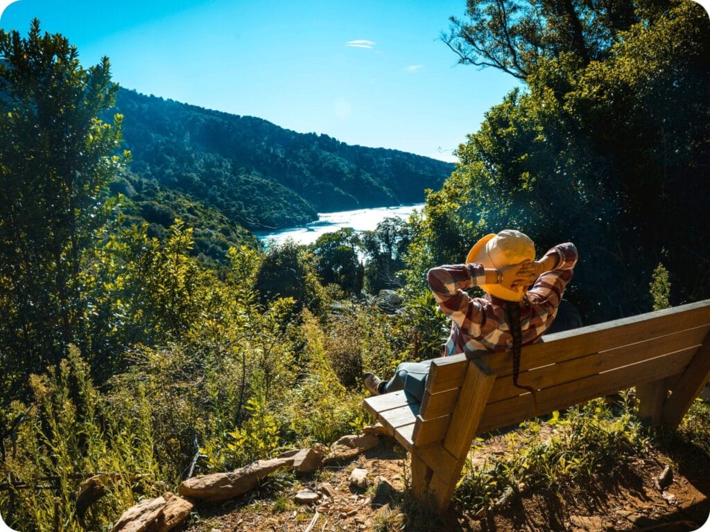 Queen Charlotte Track - Ship Cove Saddle