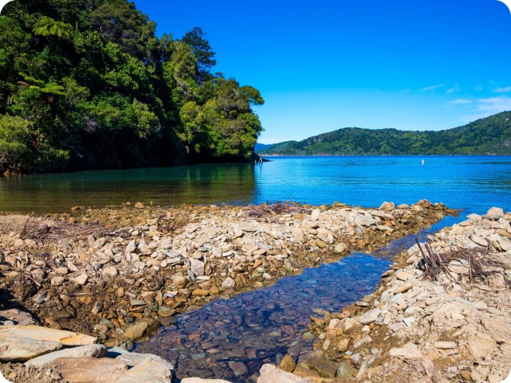 Queen Charlotte Track - Schoolhouse Bay