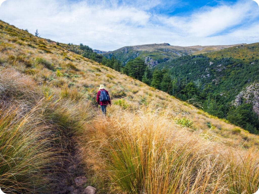 Woolshed Creek Hut - Miners Track