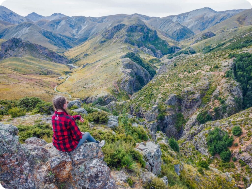 Woolshed Creek Hut - The Track