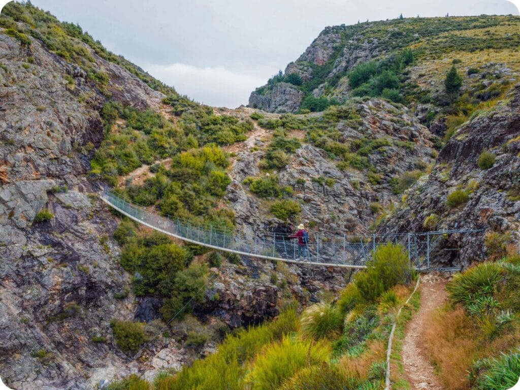 Woolshed Creek Hut - Swing Bridge