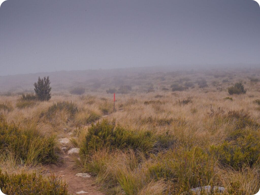 Woolshed Creek Hut - Mt Somers Track