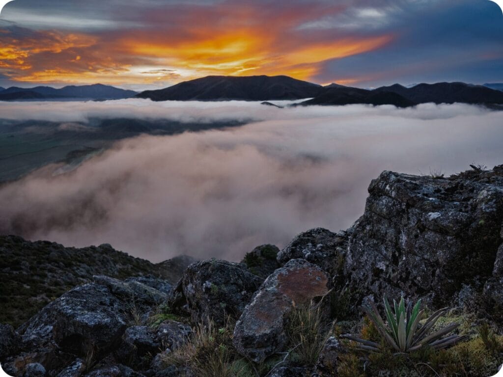 Woolshed Creek Hut - Rhyolite Ridge Track