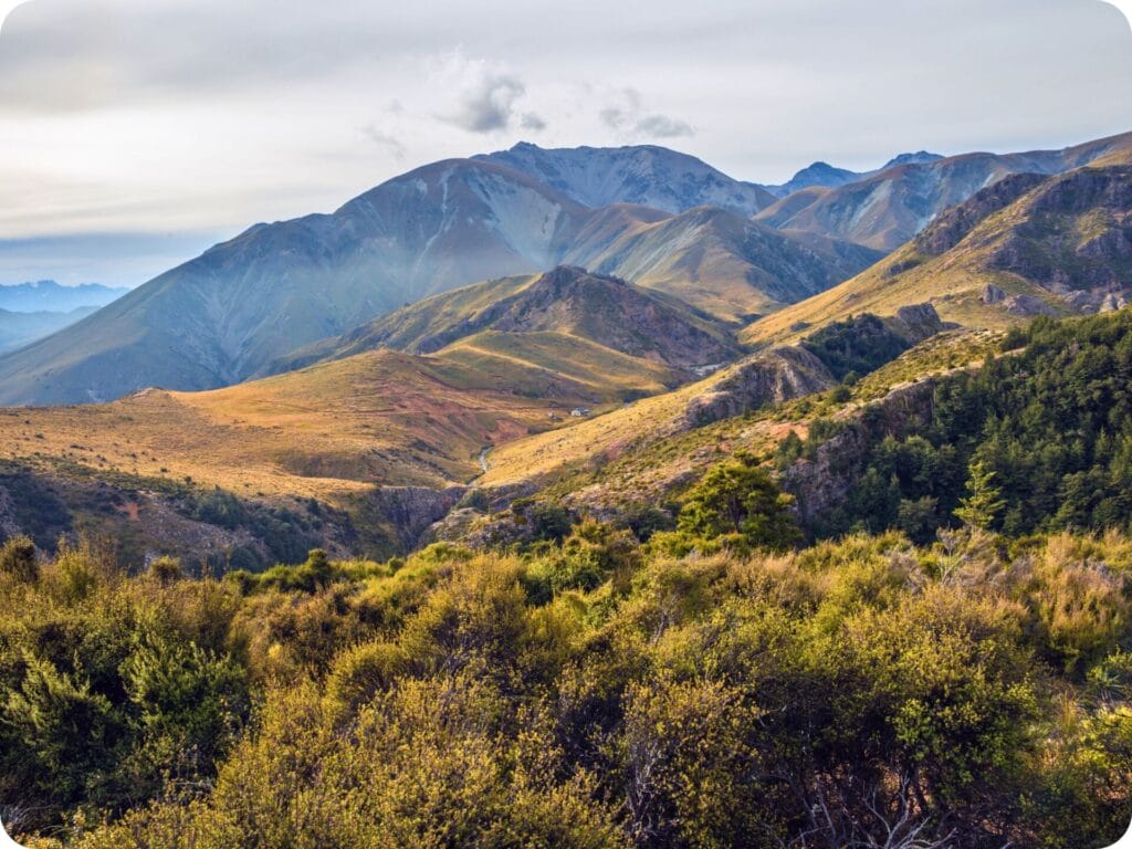 Woolshed Creek Hut - Views of the Hut