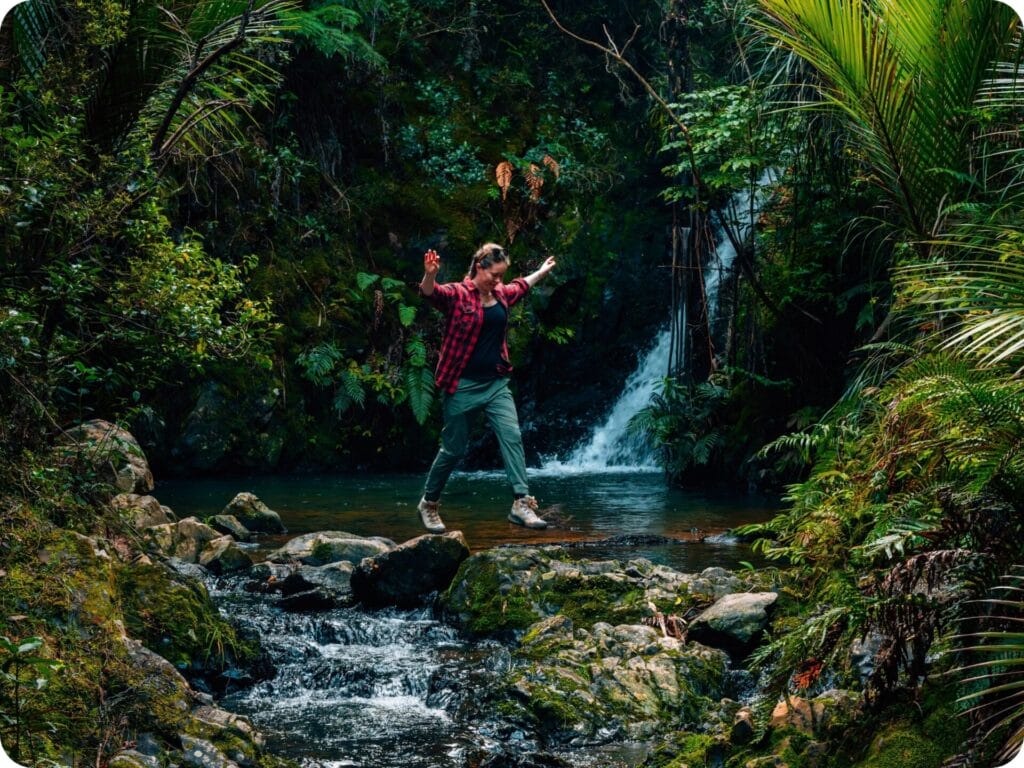 Walks in Northland - Tanekaha Walking Track & Waterfall