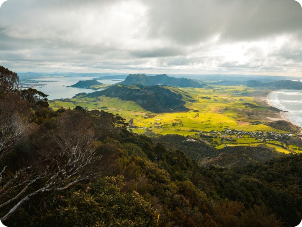 Walks in Northland - Mount Manaia