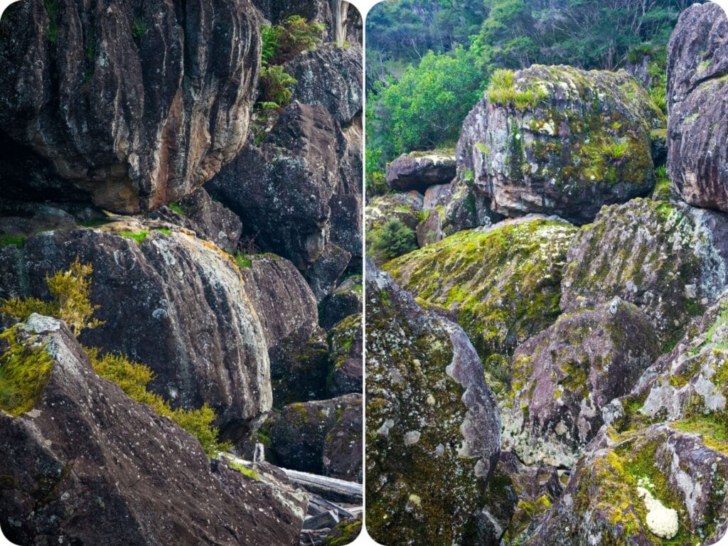 Walks in Northland - Wairere Boulders Loop