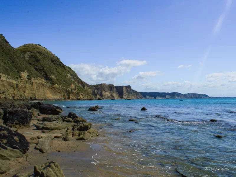 Day Hike - Te Kauwae-a-Māui/Cape Kidnappers Gannet Reserve