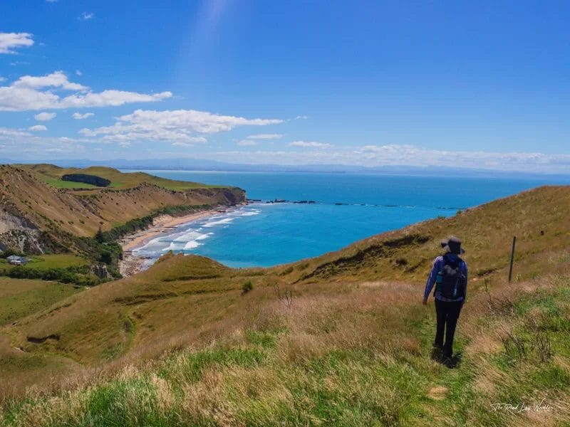 Day Hike - Te Kauwae-a-Māui/Cape Kidnappers Gannet Reserve