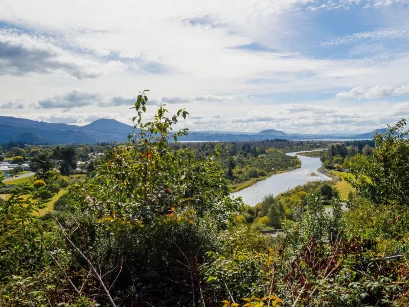 Short Walks in Waikato - Tongariro River