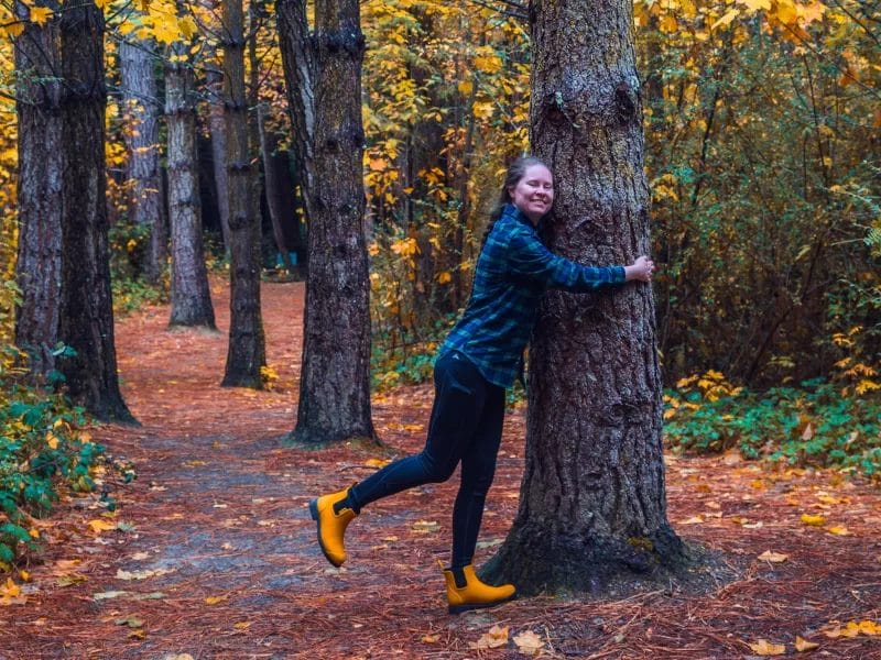 Eco-Conscious Day Hike - An Eco Attitude