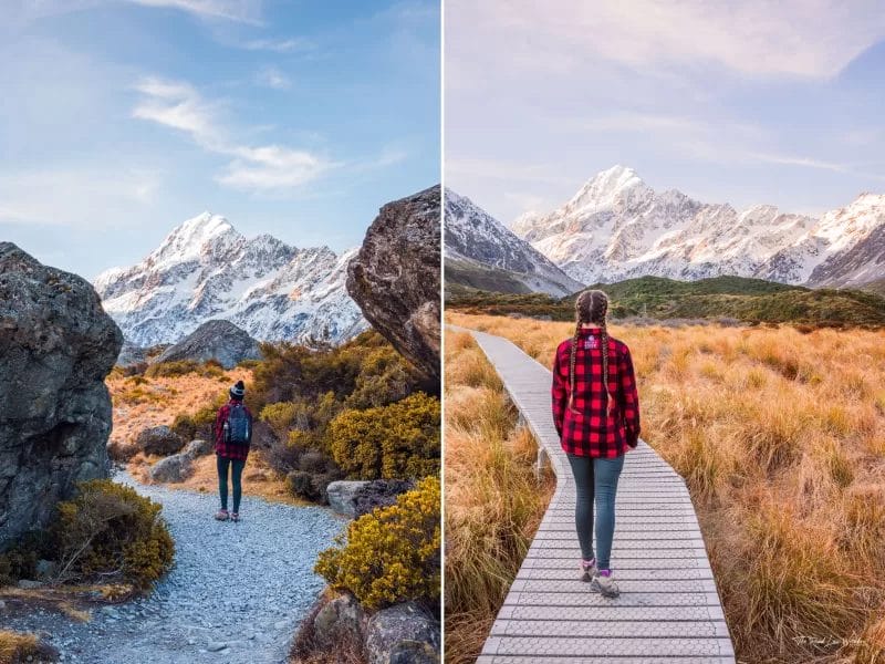 Hooker Valley Tussock Grass