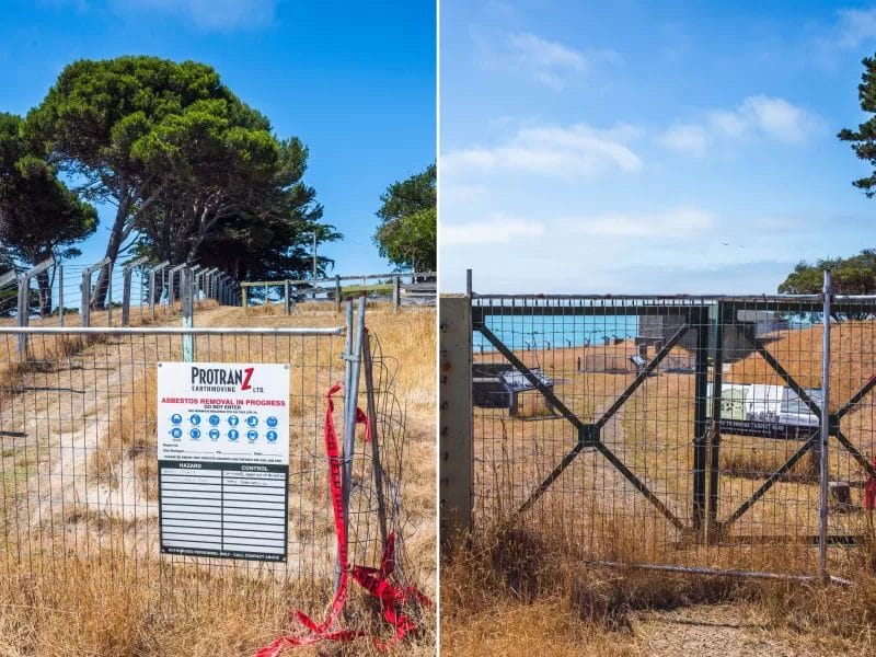 Half Day Hike - Awaroa/Godley Head