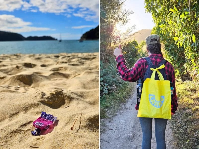 Eco-Conscious Day Hike - Trash on the Trail
