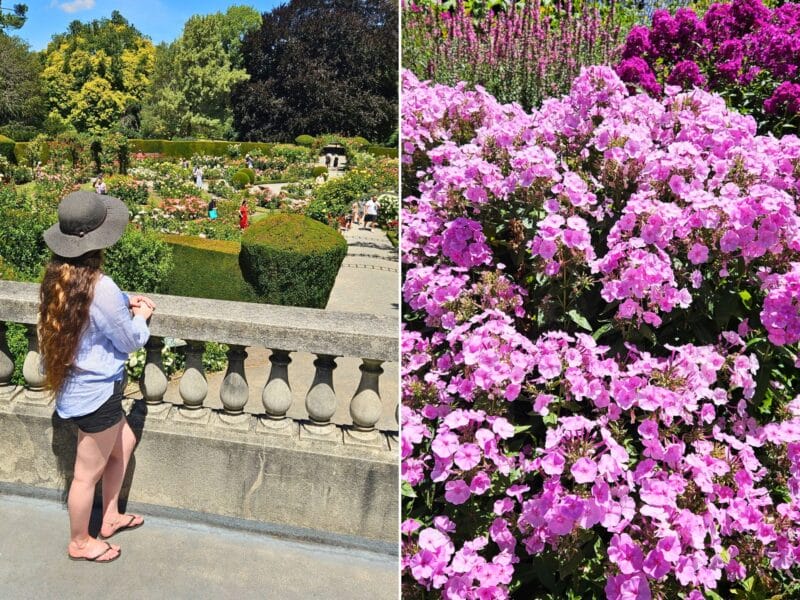 Free Things to do in Christchurch - Botanic Gardens