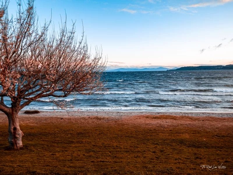 Short Walks in Waikato - Taupo Lake Front
