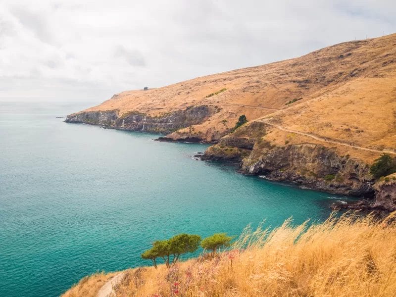 Half Day Hike - Awaroa/Godley Head - Harris Bay