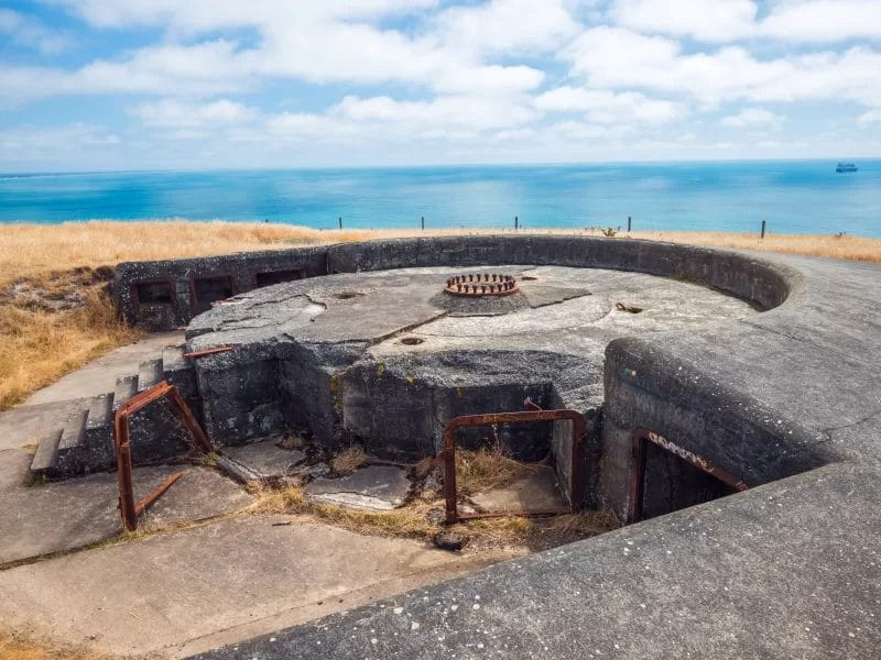 Half Day Hike - Awaroa/Godley Head - Taylor Battery