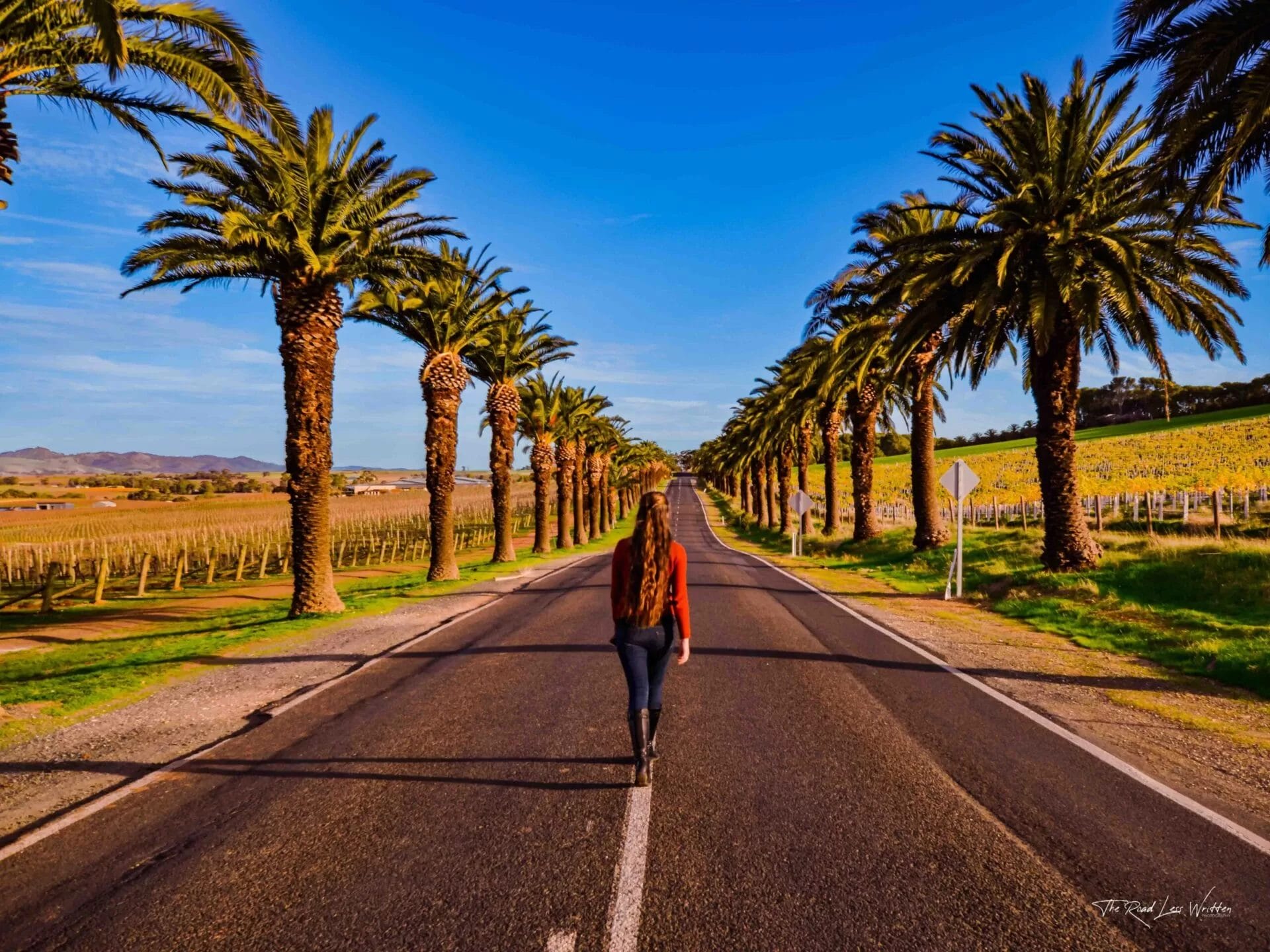 Seppeltsfield Road Print