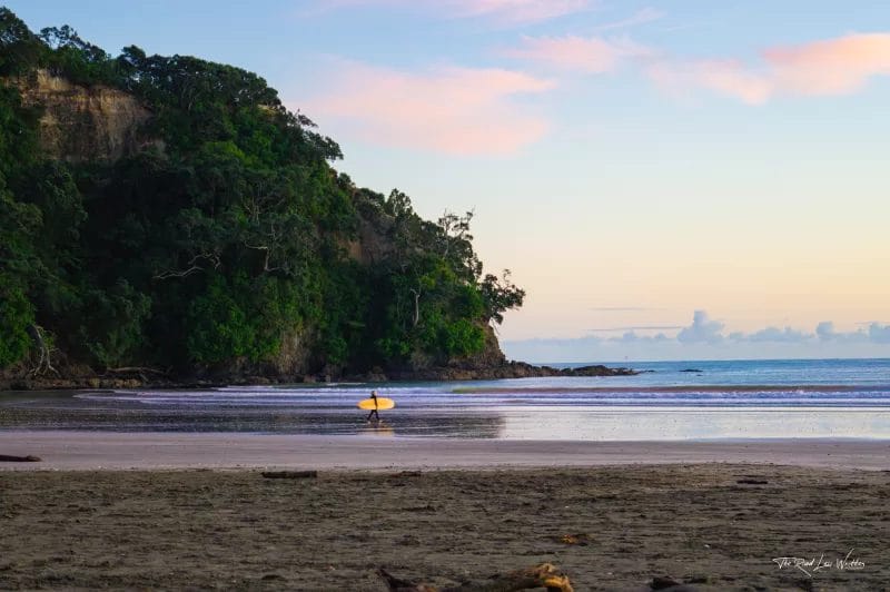 Footsteps of Toi - Ohope Beach
