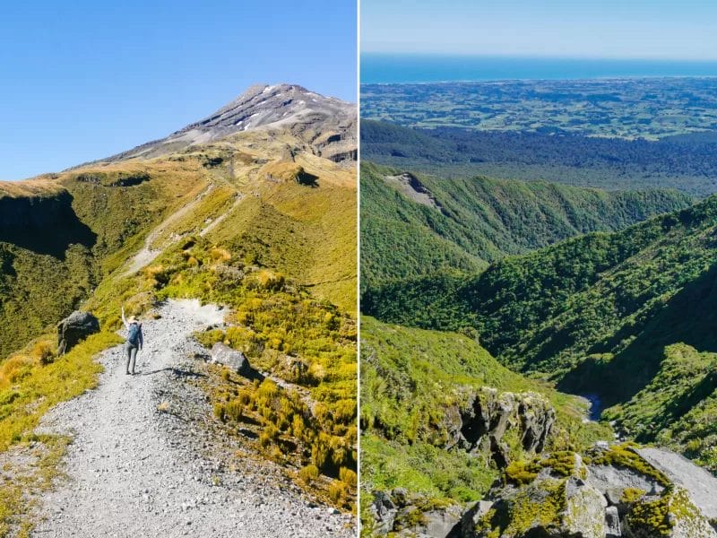 Razorback Ridge on Pouākai Crossing and the views it offers