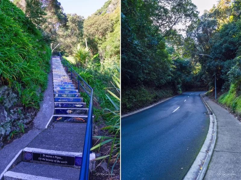 Footsteps of Toi - Tiled Vertigraph