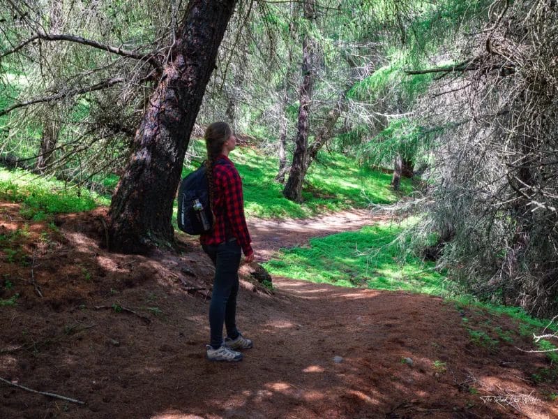 How Eco-Friendly is Vanlife